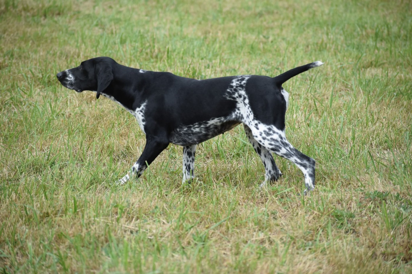 Ulyx Des Frontières De La Fagne